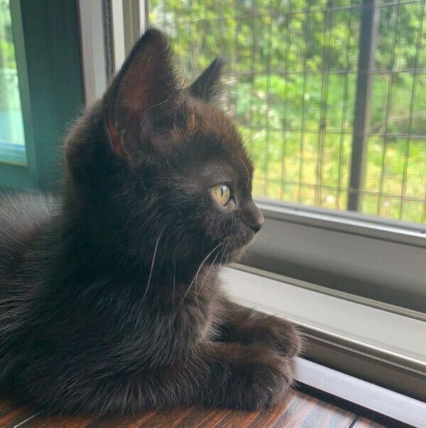 外を見る空ちゃん