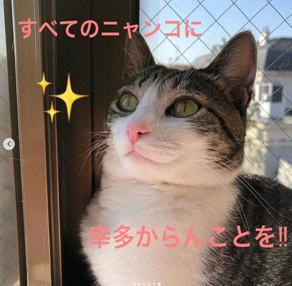 こでまりちゃん