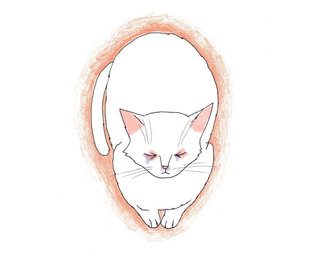 イラスト／大塚砂織