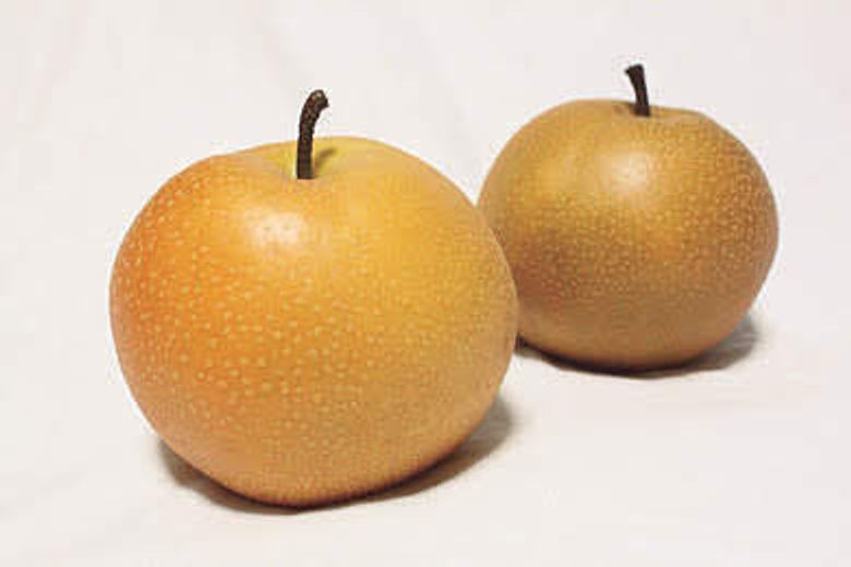 画像でわかる 猫に梨や桃などの果物を与えるときはこのくらい ねこのきもちweb Magazine 画像でわかる 猫に梨や桃などの果物を与えるときはこのくらい ねこのきもちweb Magazine