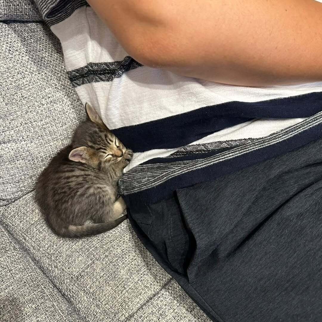 小さすぎる　飼い主さんにくっついて眠るカイちゃん