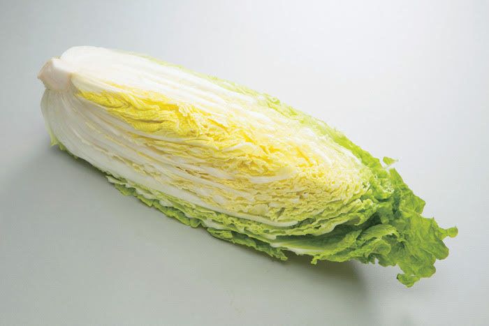 白菜