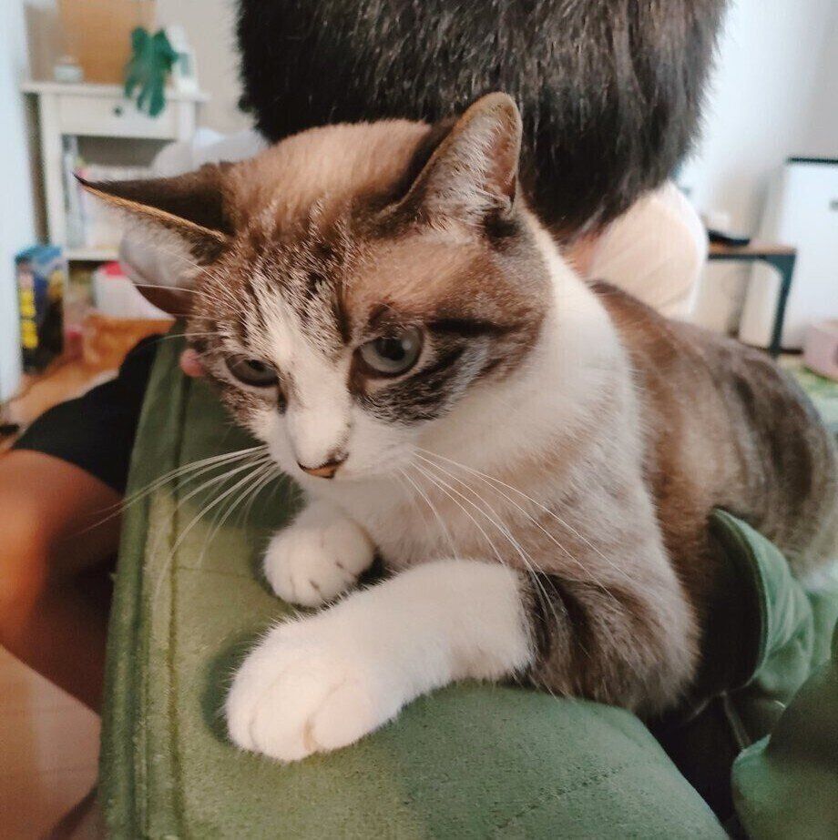 飼い主さんの息子さんとすいちゃん。