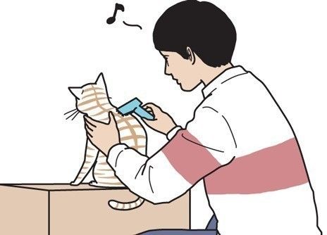 「男の猫道」サムネイル