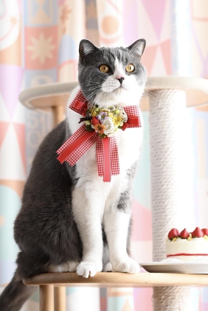 このはな堂作品