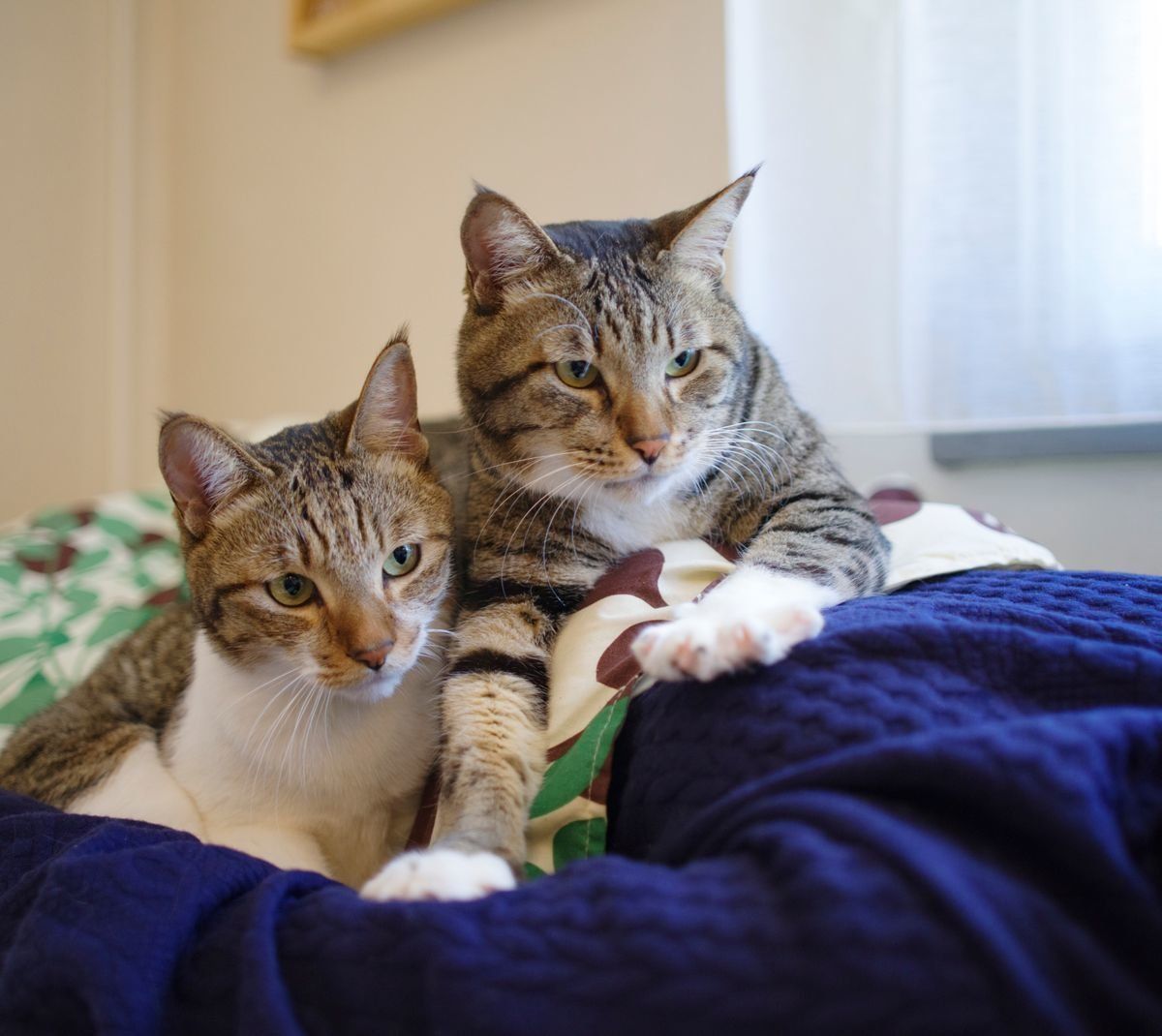 撮影／Akimasa Harada