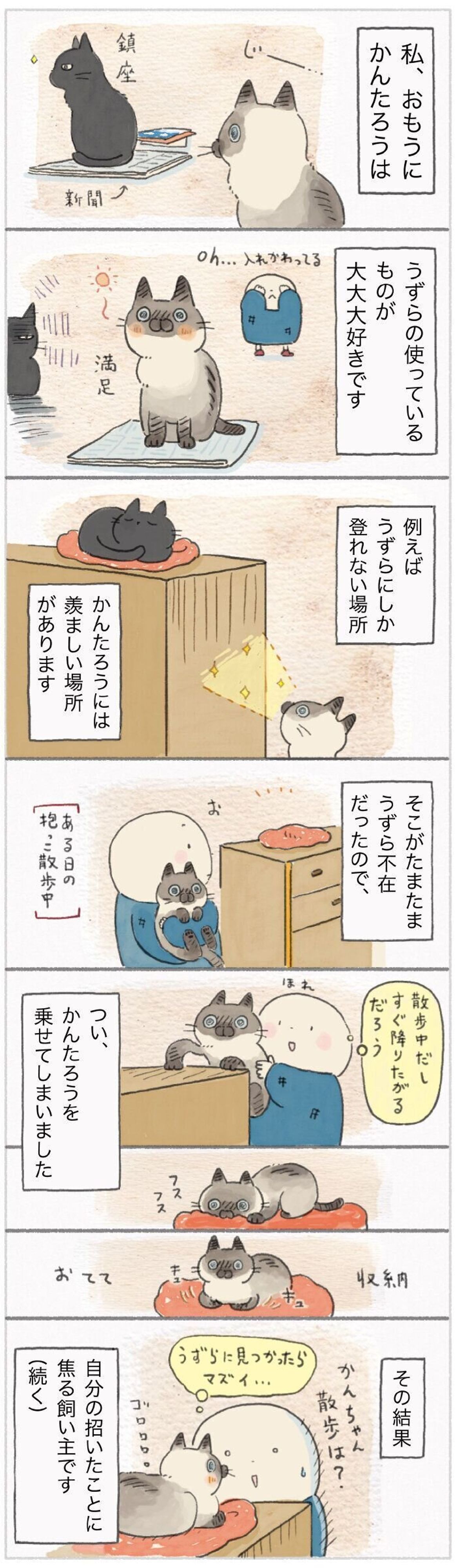 ああ やらかしてしまった うずらのお気に入り場所がピンチに ねこ連れ草 153話め ねこのきもちweb Magazine ああ やらかしてしまった うずらのお気に入り場所がピンチに ねこ連れ草 153話め ねこのきもちweb Magazine
