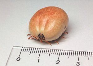 写真提供／佐伯英治