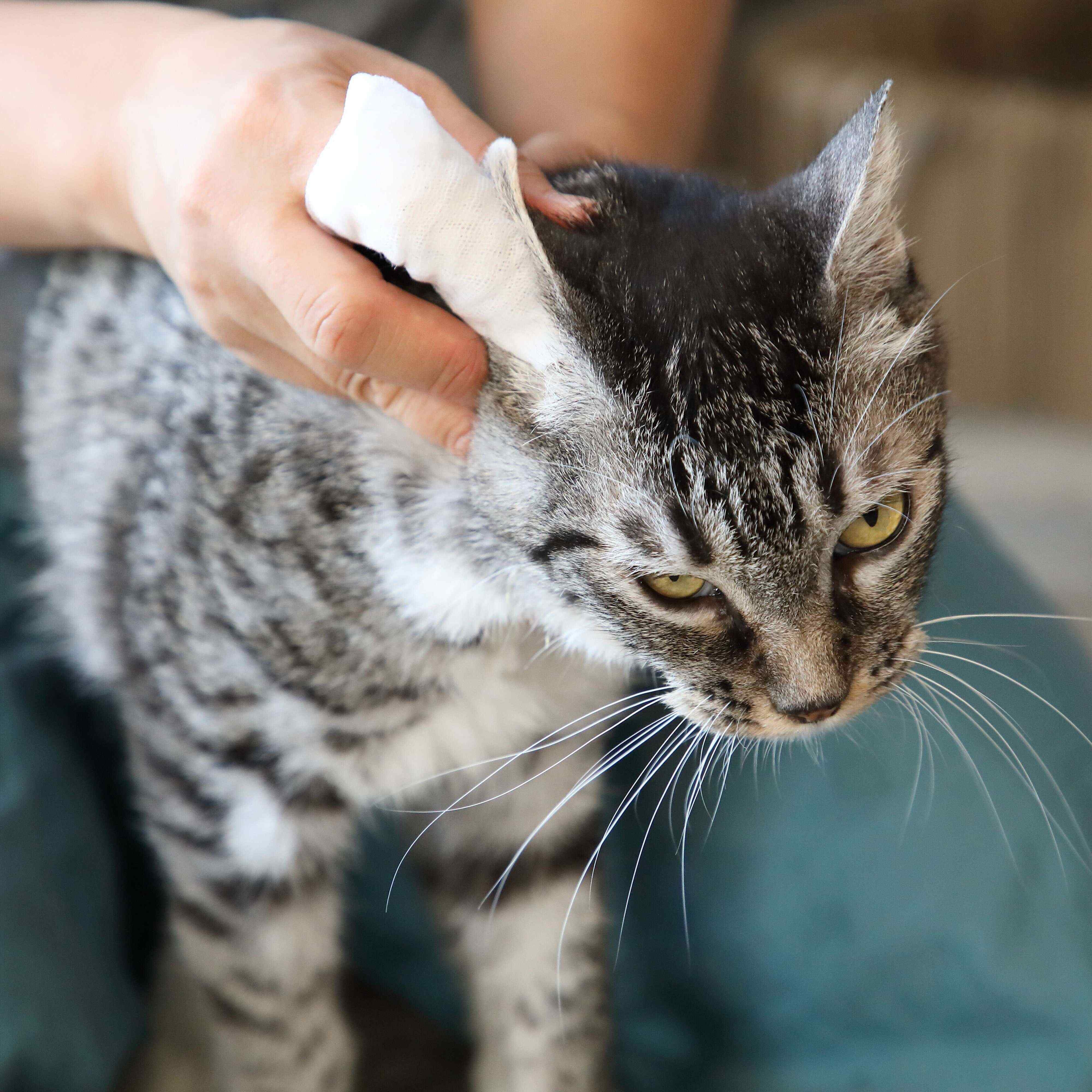 撮影／尾﨑たまき