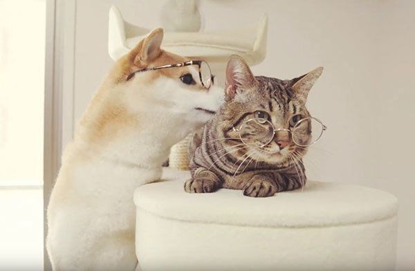 ゆうくん、とろくん