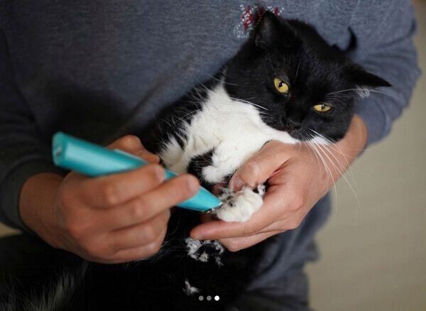 足裏の毛をカットされて「虚無の顔」になるうにくん