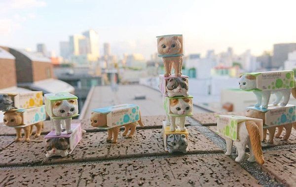 カプセルトイ「ハコティッシュフォールド3」