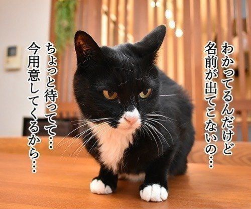 だいずさんの出した答えとは……！？