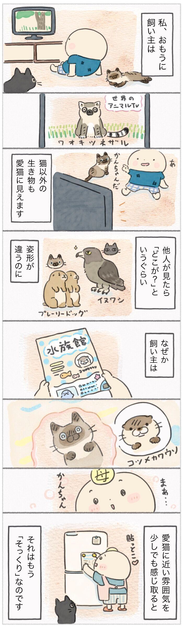 「ねこ連れ草」336話め