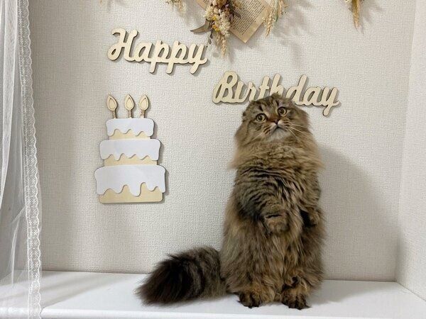 2才に成長したはまちくん