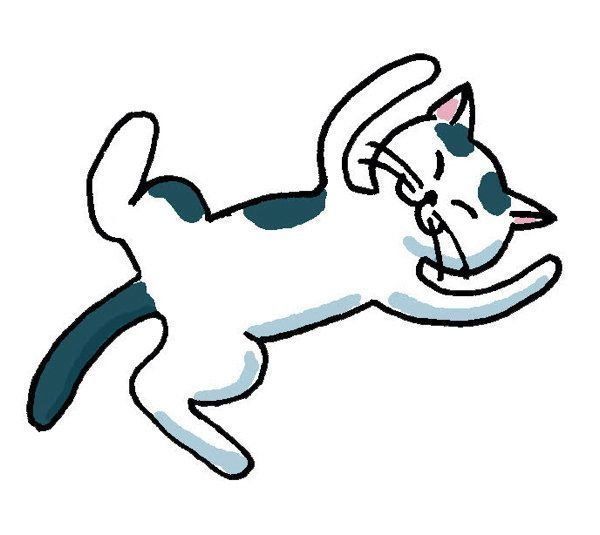 表情でわかる猫の気持ち