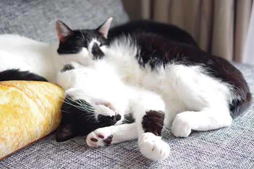 夢みるソラのとんでもない行動