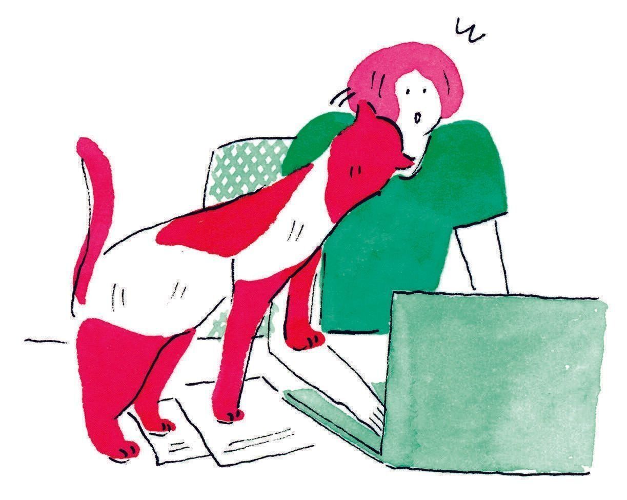 イラスト／ヤマグチカヨ