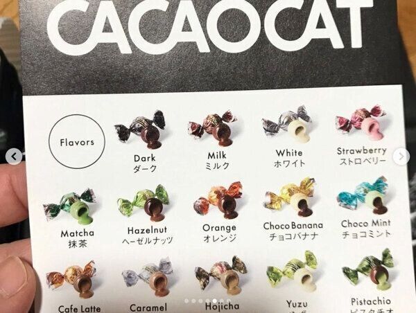 「CACAOCAT」のチョコレート