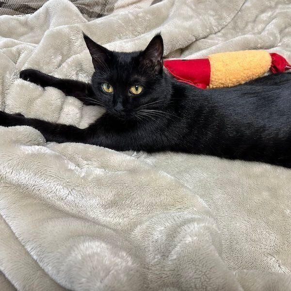 のびのびするくうちゃん