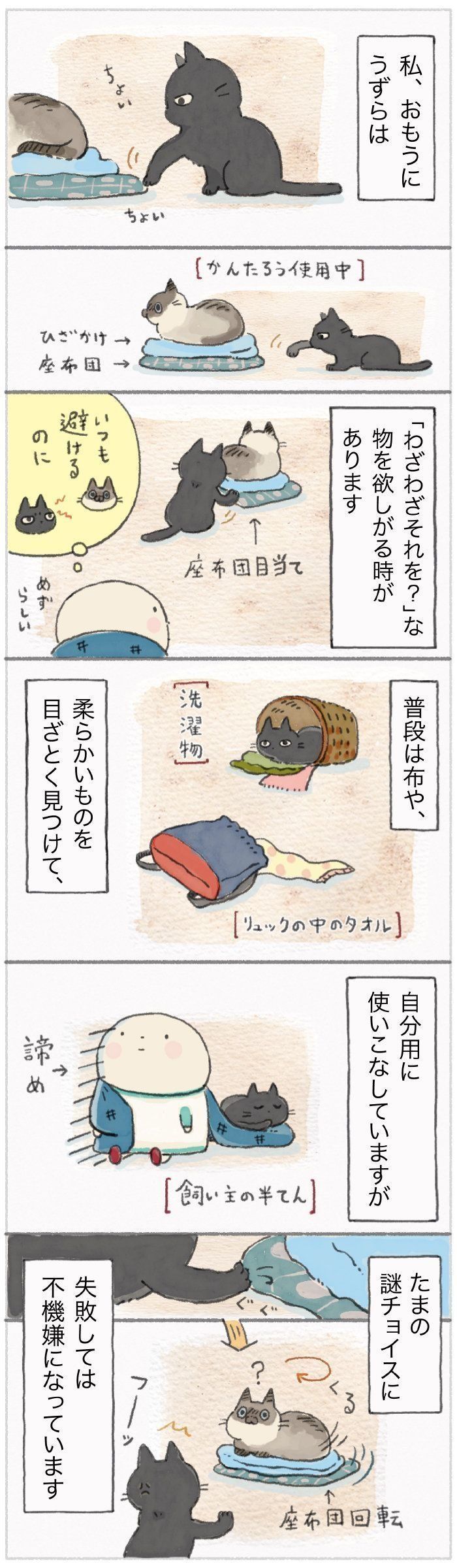 「ねこ連れ草」74話め