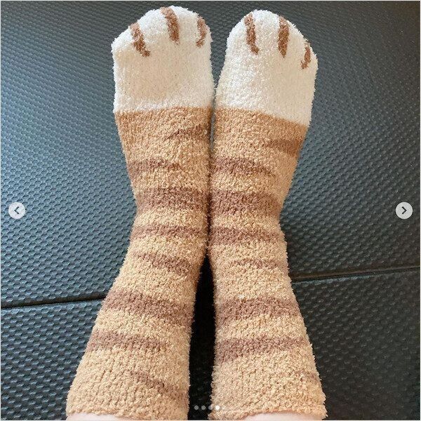 ダイソーの猫グッズ