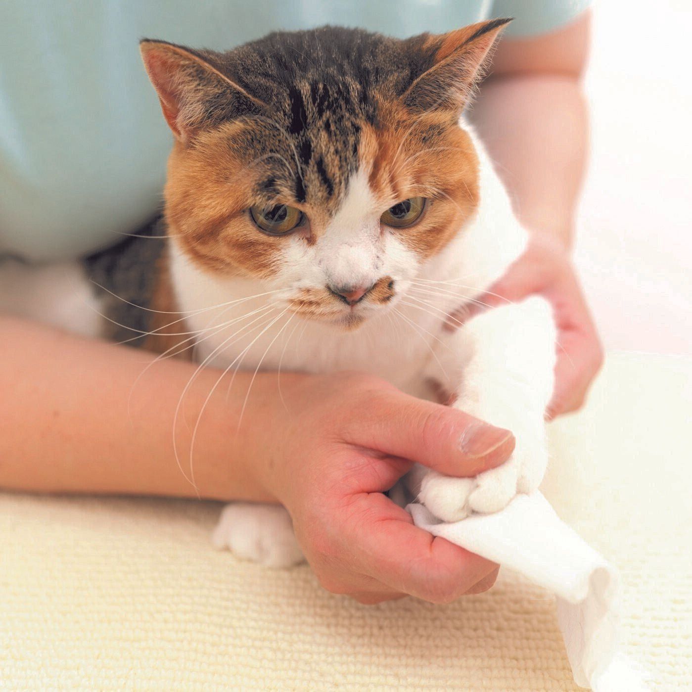 撮影／石原さくら