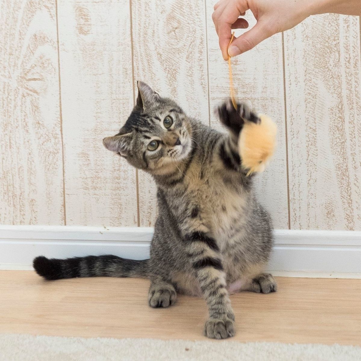 撮影／中川文作