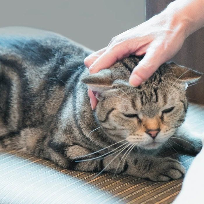 撮影／中川文作