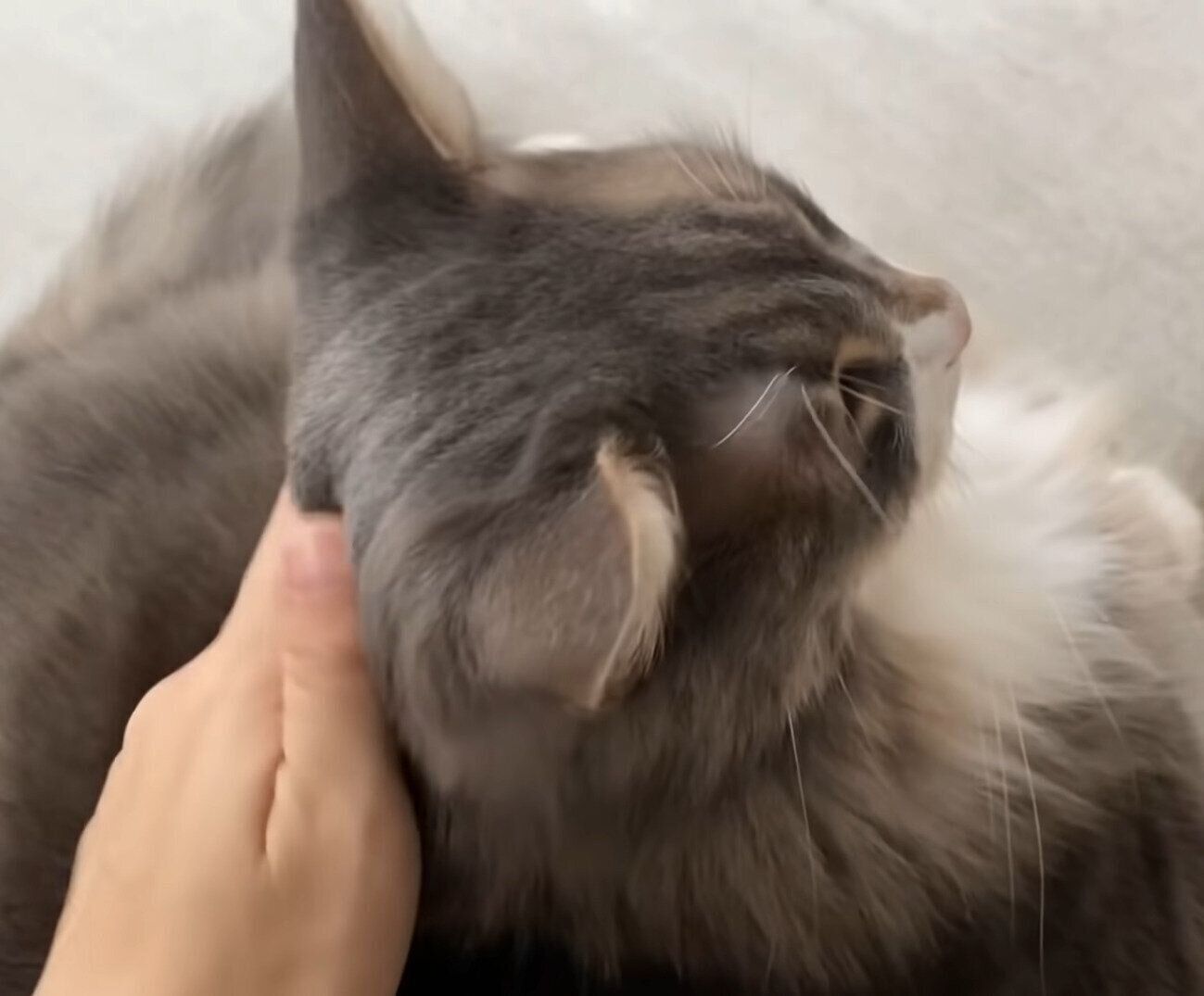 甘える蒼ちゃん