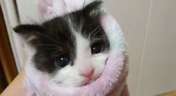 ミノムシのように包まる桜大夢ちゃん