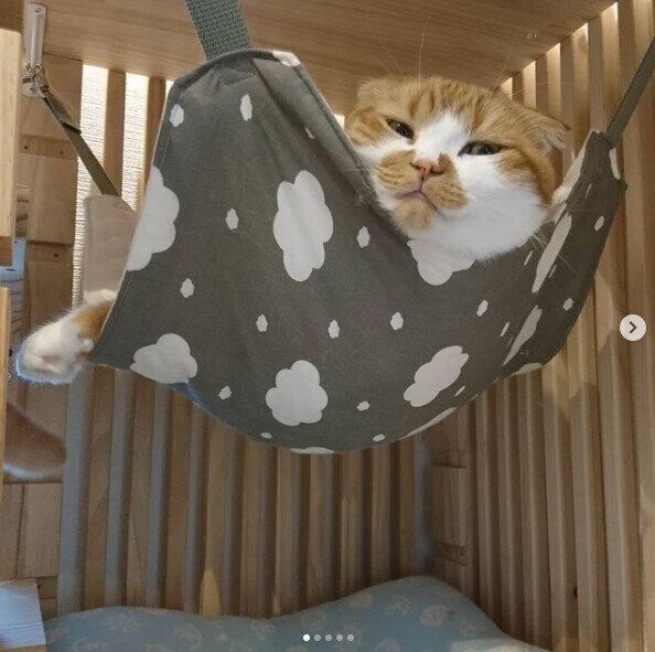 手作りハンモック