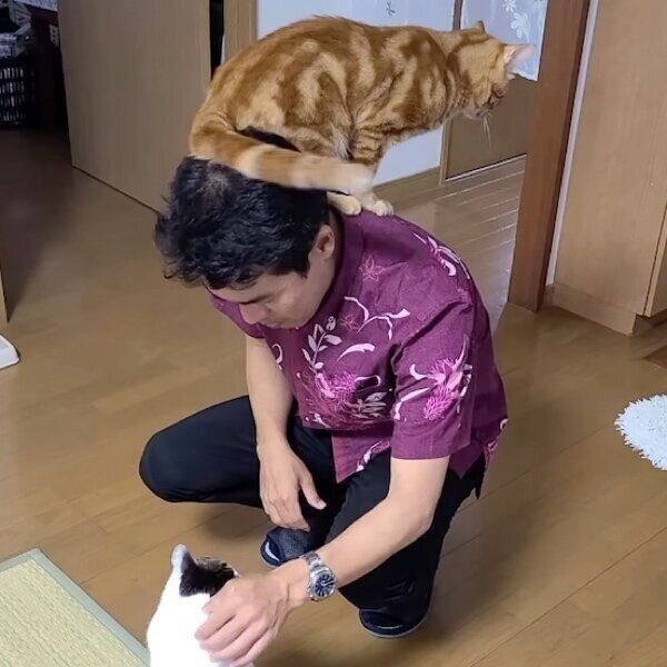 パパさんの帰宅に喜ぶふくくんとちびくん