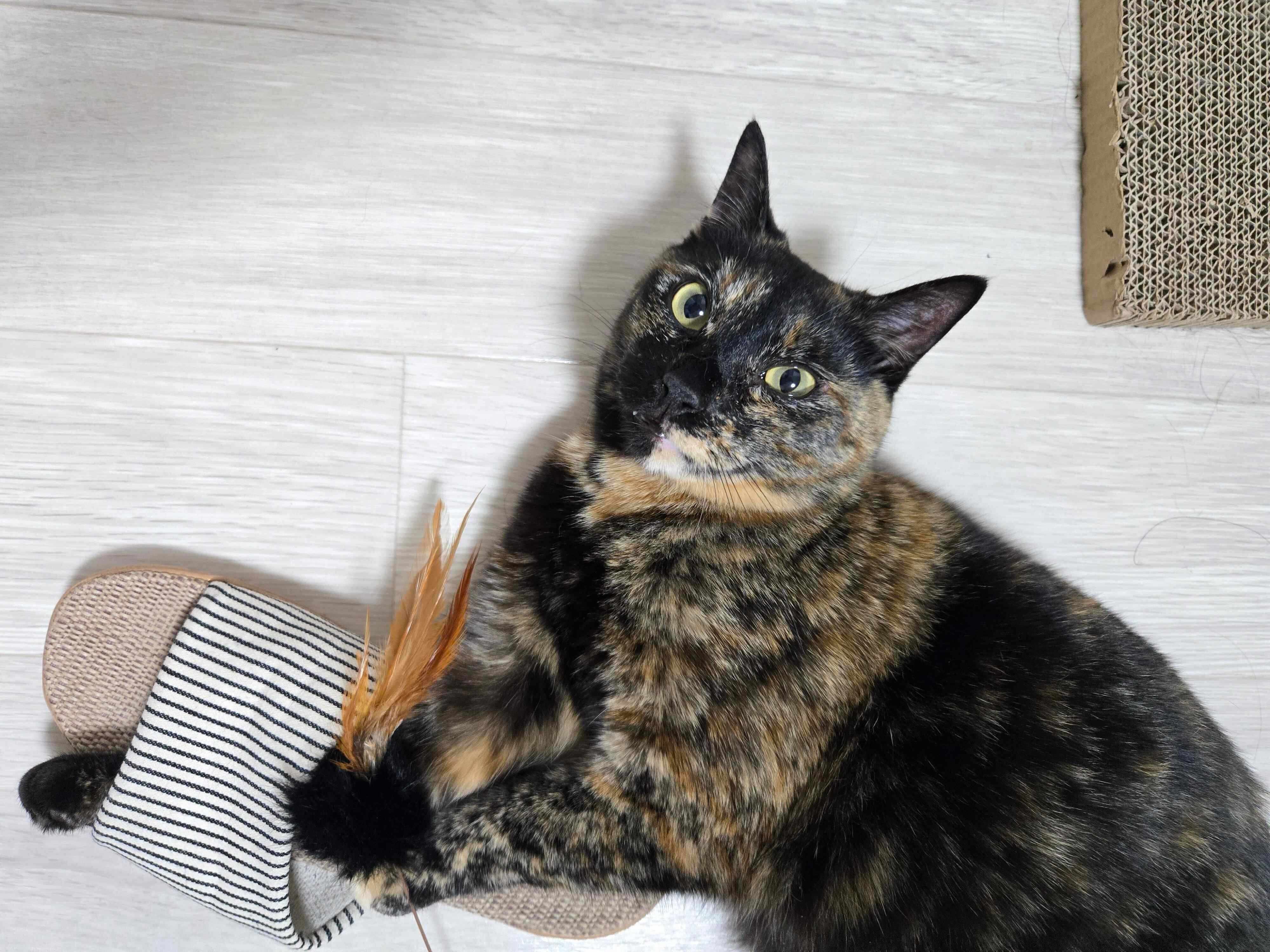 スリッパが好きなのあちゃん