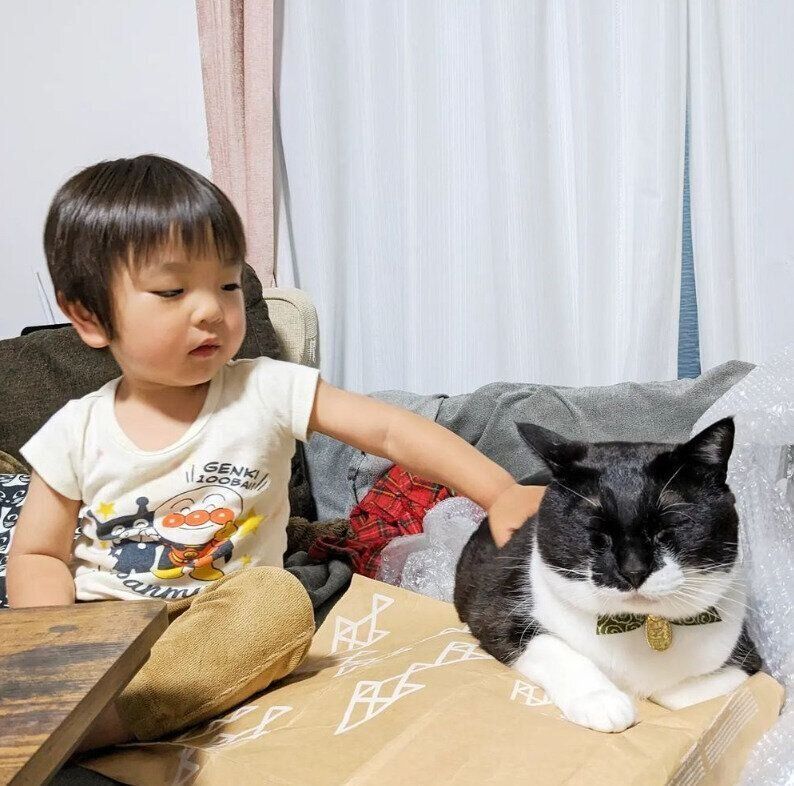 息子くんになでられて気持ちよさそうなぶうくん