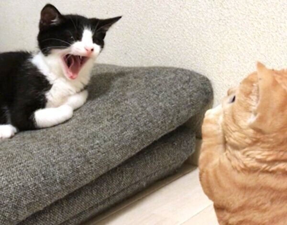 Ahdcw7yqtw3clm Ahdcw7yqtw3clm