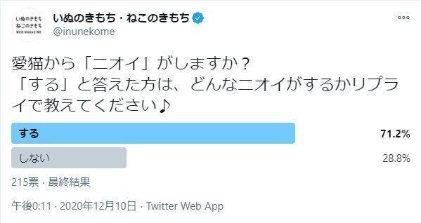 猫のニオイに関するアンケート