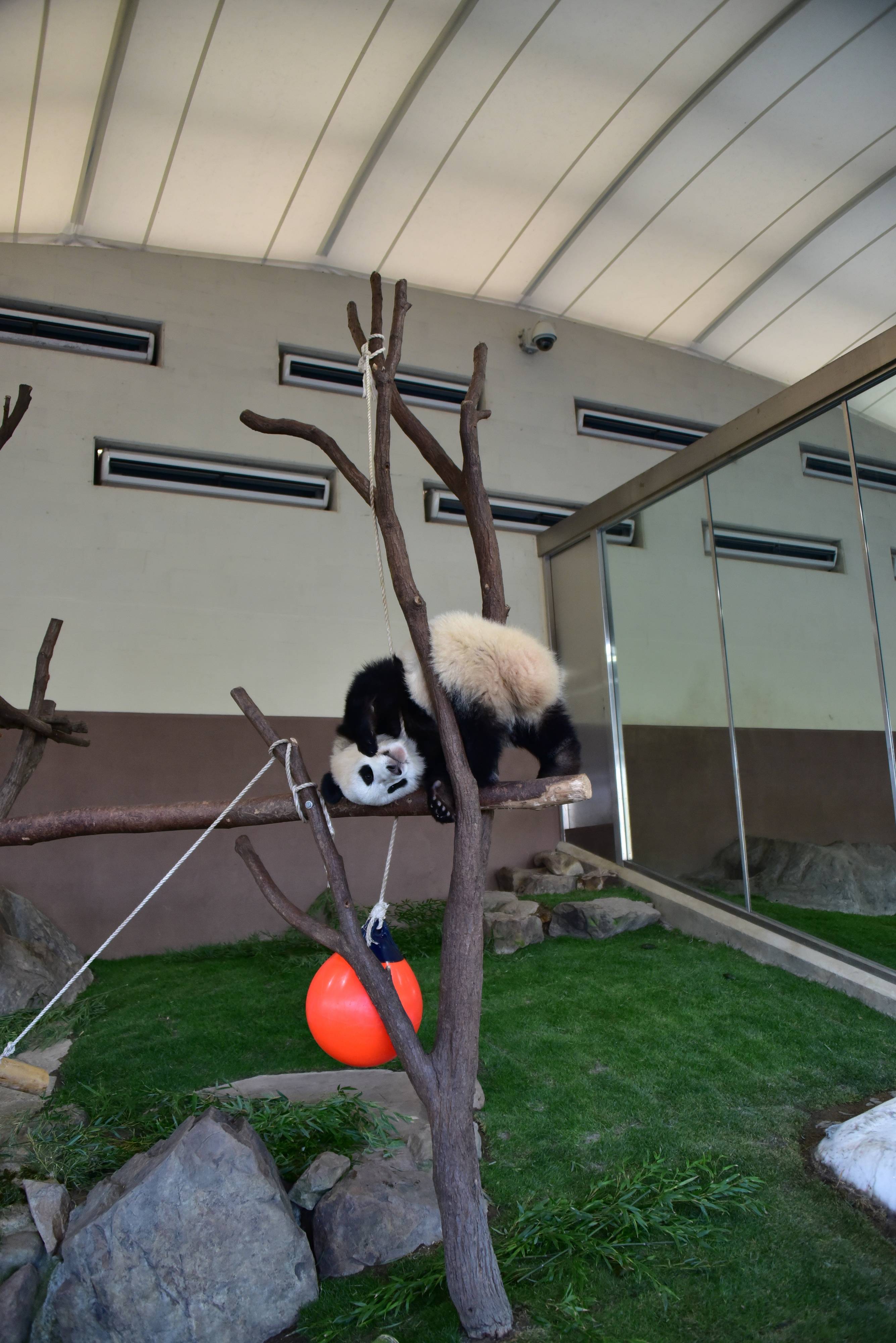 写真提供／アドベンチャーワールド