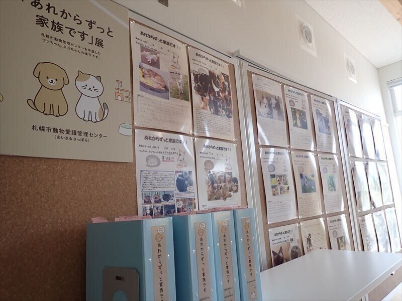 写真提供／札幌市動物愛護管理センター「あいまる さっぽろ」