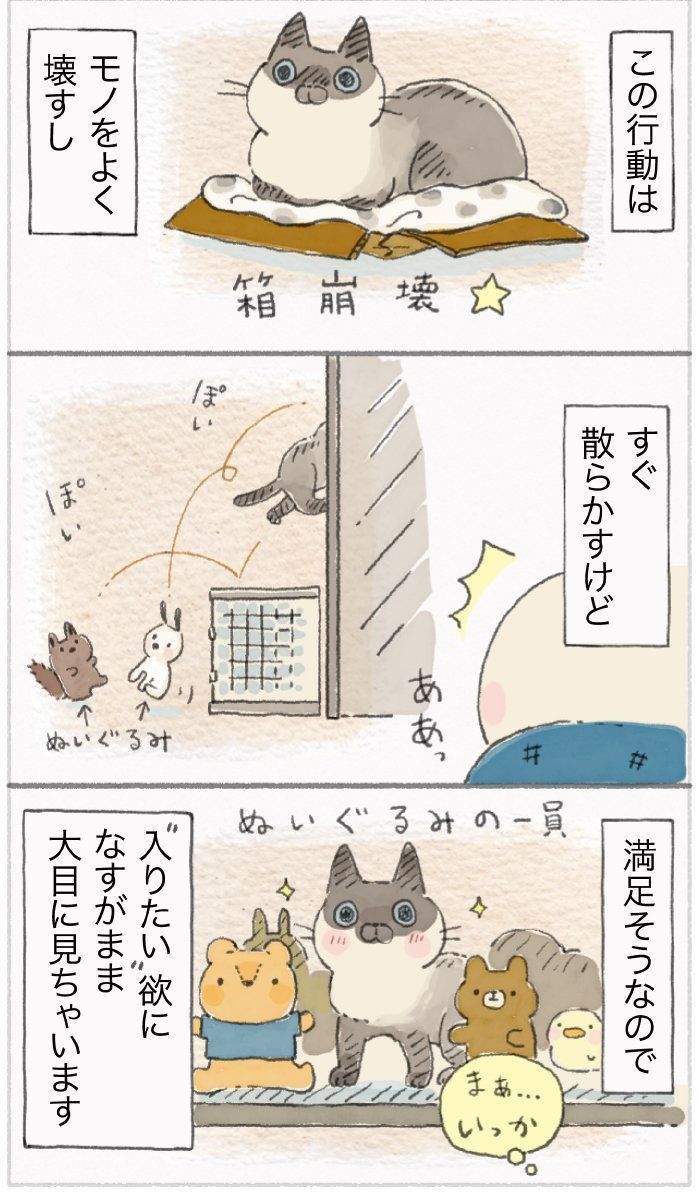 「ねこ連れ草」57話め