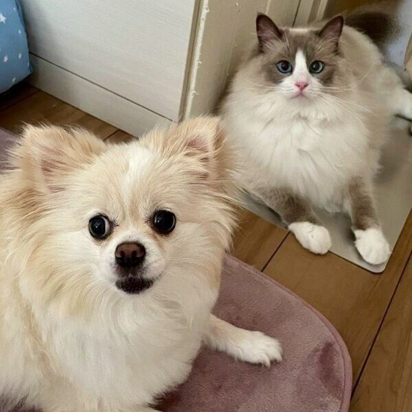 こはくちゃんと仲良しツーショット