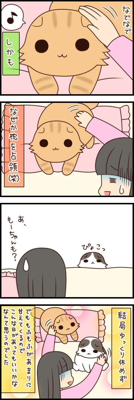 もふもふスコたん 39話目