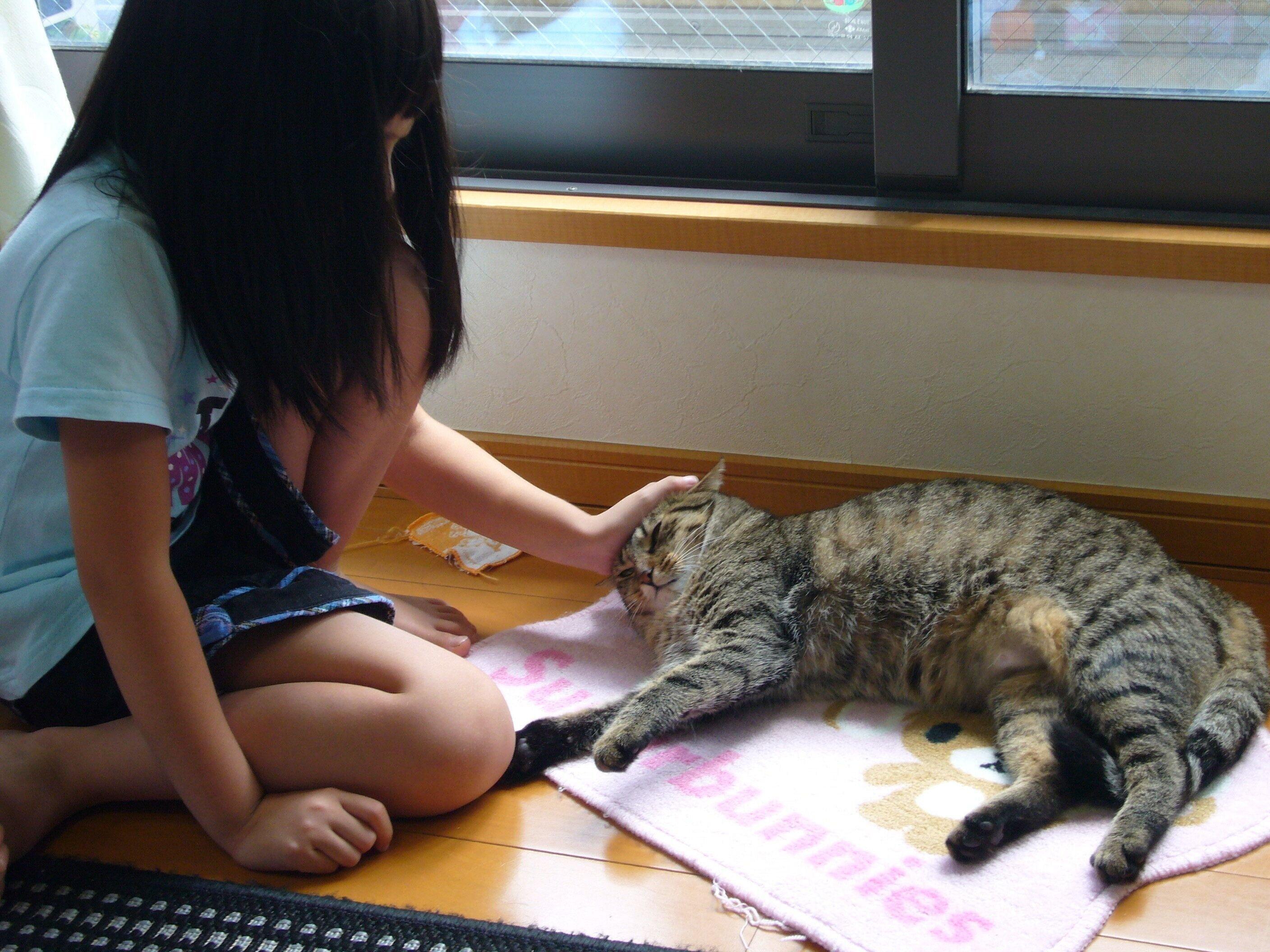 写真提供／小笠原ネコプロジェクト