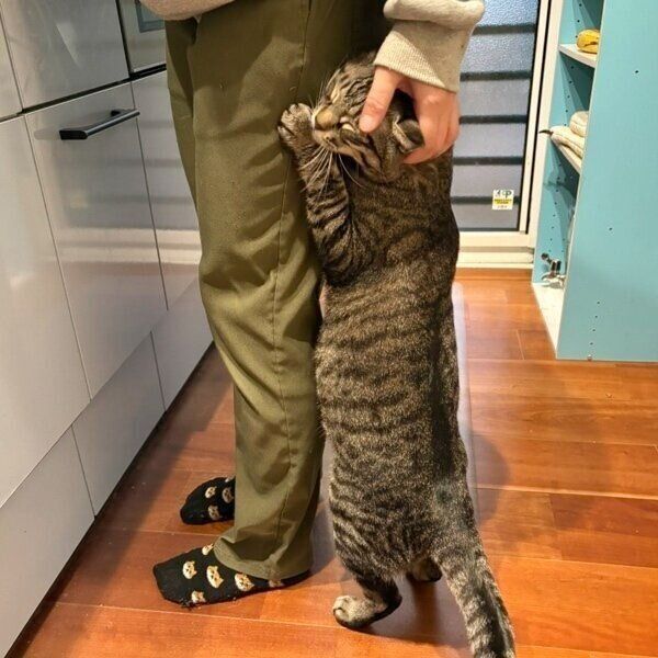 ママさんと離れたくないつむぎくん