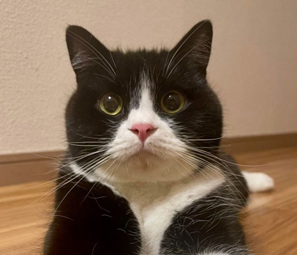 まんまる顔が可愛いたろうくん