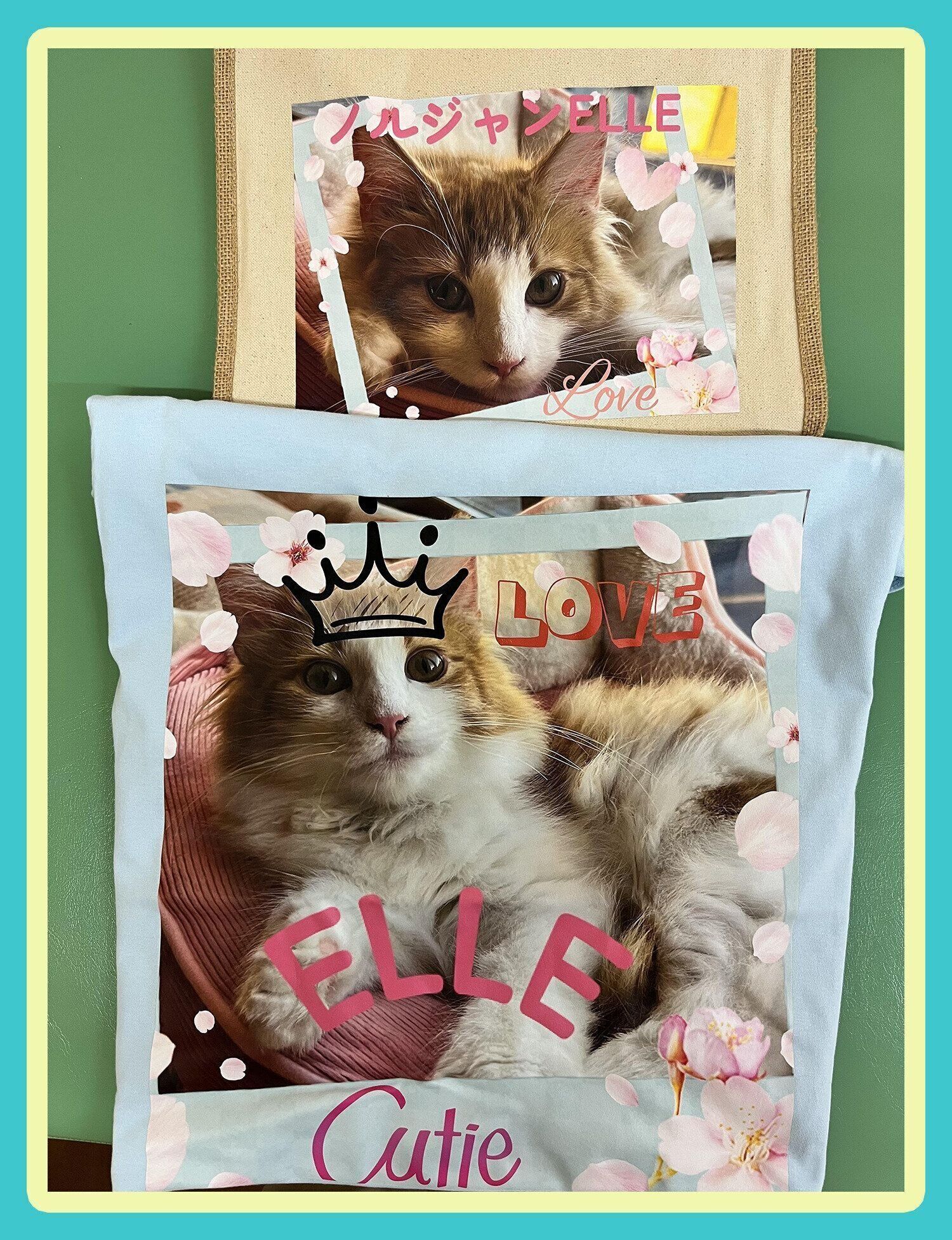 ねこ部門最優秀賞