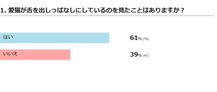 舌を出しっぱなしにする愛猫を見たことはある？