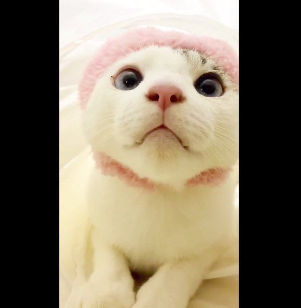 トンネルを駆け抜けるみんとちゃん