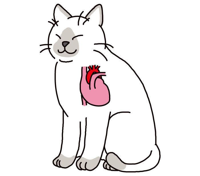 イラスト／chizuru