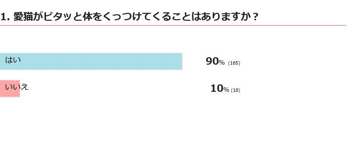 愛猫が体をくっつけてくることはある？